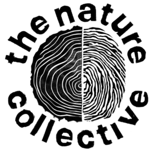 logo-tnc