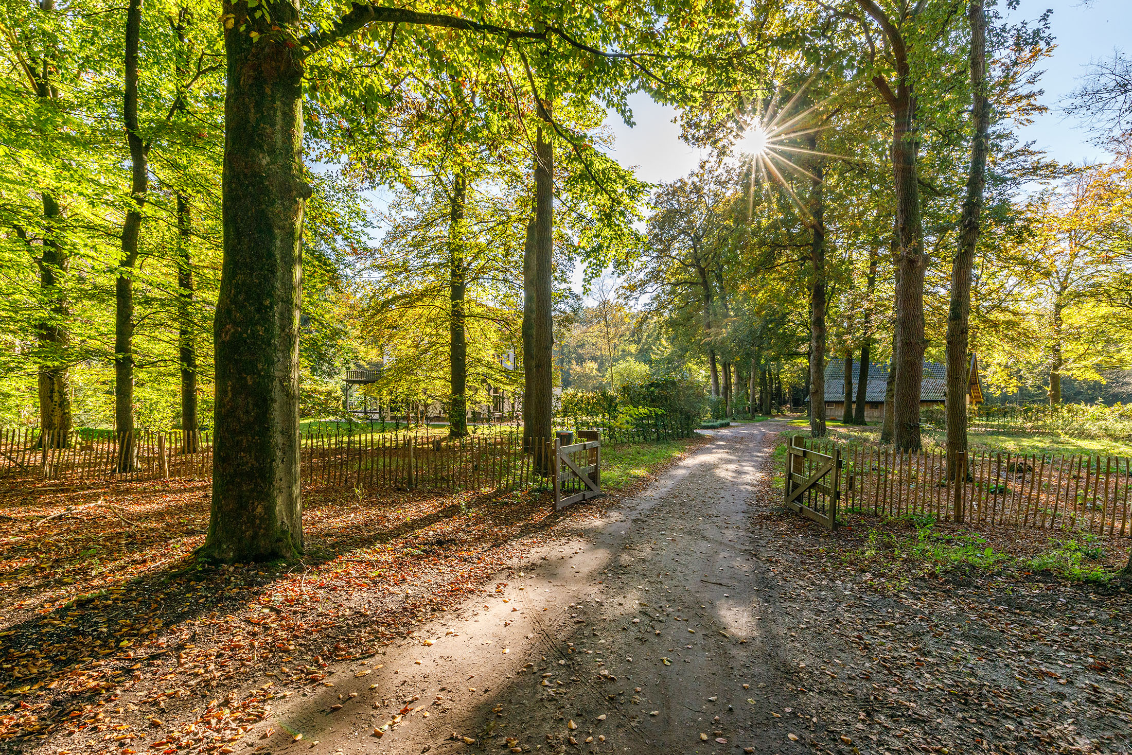 Landgoed Welna (Veluwe)