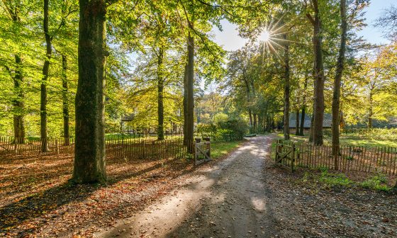 Landgoed-Welna-een-professioneel-familielandgoed-op-welna-1